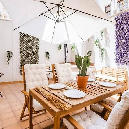 Casa San Miguel Terrace Centro Apartment